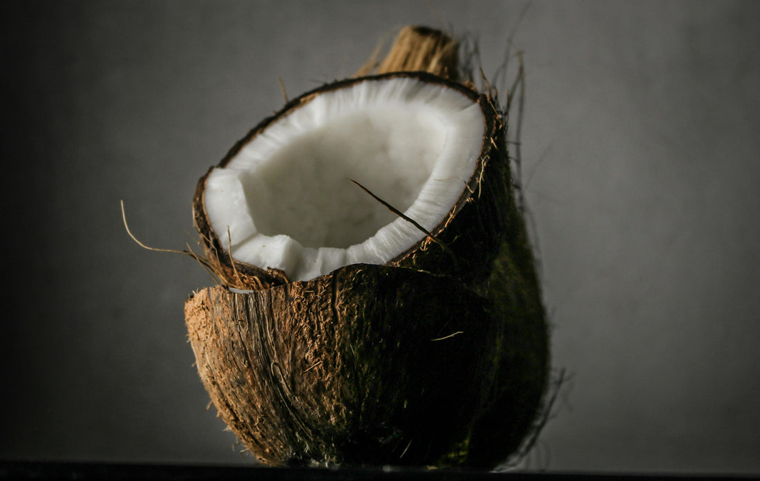 Cold-Pressed Coconut Oil – The Ayurvedic Carrier of Choice