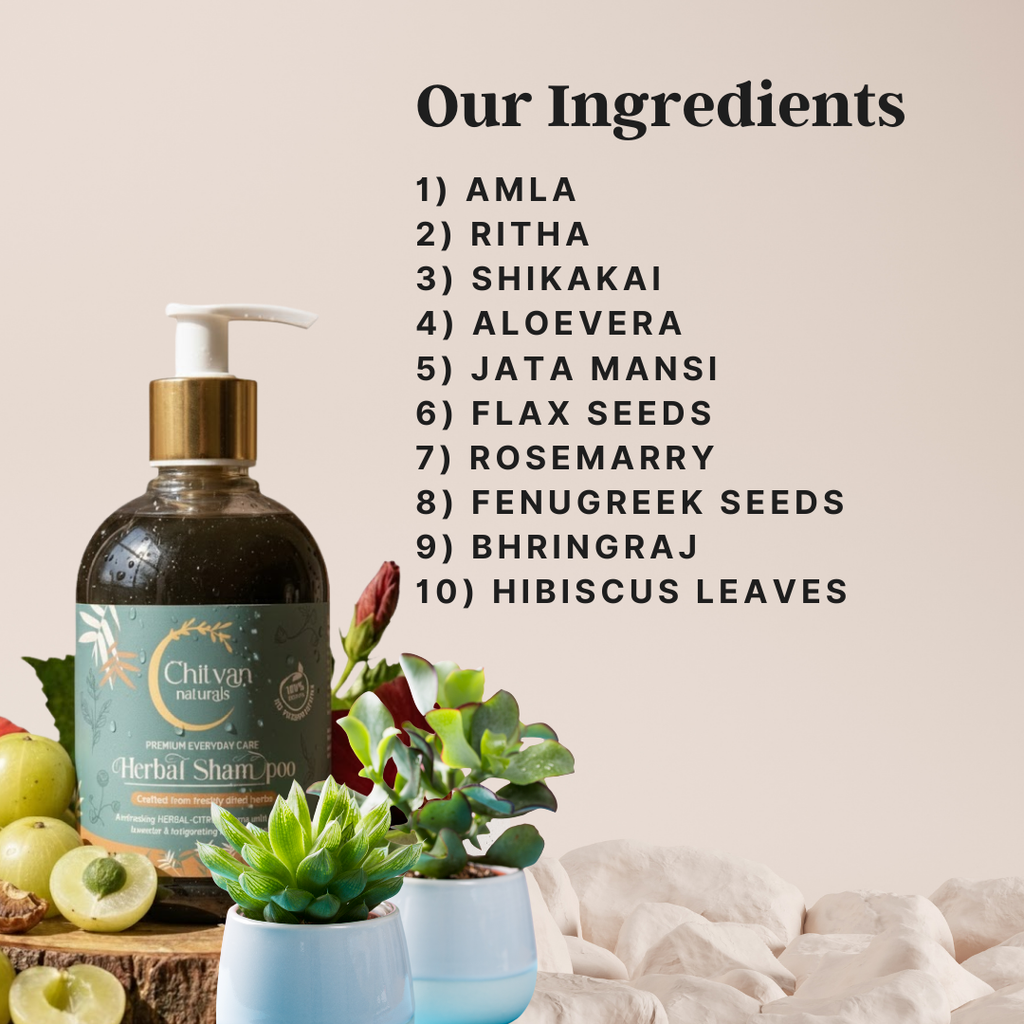 Chitvan Anti-Hairfall Shampoo (1+1 Pack of 250ml)