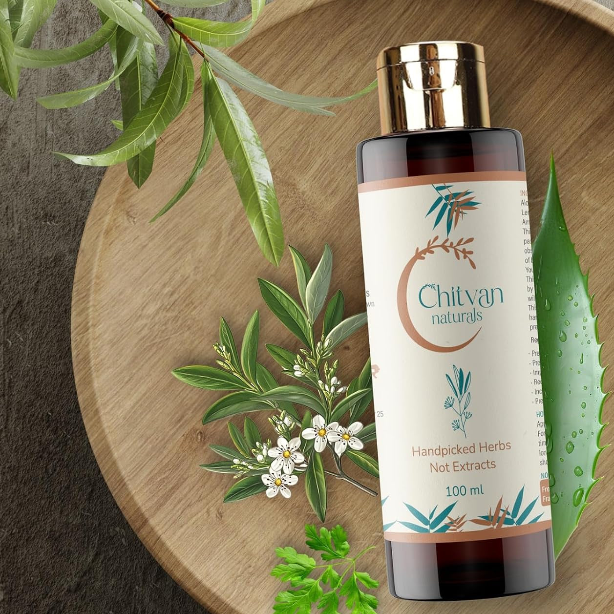 Chitvan Naturals Herbal Hair Oil with Fresh Handpicked Herbs, No Extracts, Natural Color, No Perfume or Preservatives (Pack Of 1_100 ml)